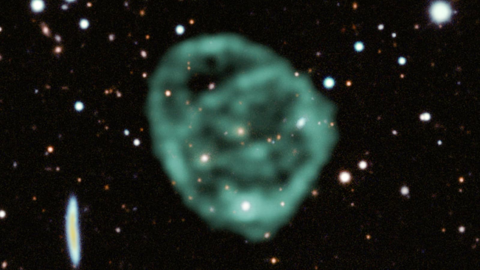 MeerKAT radio image of ORC 1 — a circular halo of radio emission with internal arcs and a central elliptical galaxy